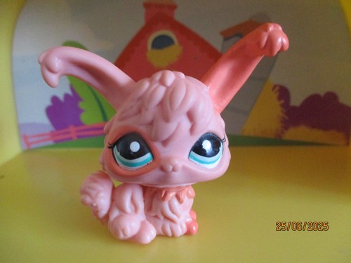 Petshop lapin angora - petshop,