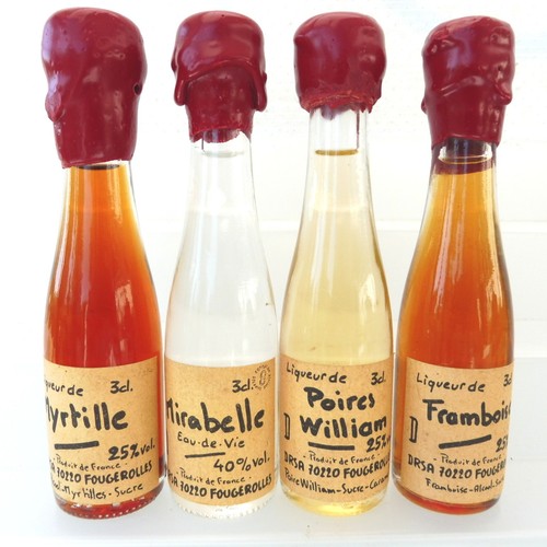 Mignonnettes myrtille - 4,
