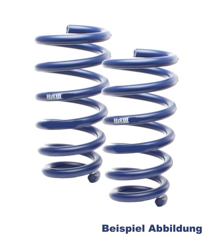 Ressorts abaissement pour - h+r,