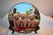 FRANKLIN MINT ROYAL DOULTON “GOOD AS GOLD” PLATE ~ 3 Yellow Labrador Pups 