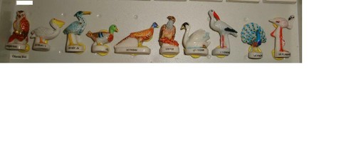 Série complète oiseau roi - oiseau,