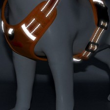 Harnais Pour Animaux De Compagnie Laisse Réfléchissante Gilet De Promenade