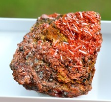 Crocoïte 39 grammes - Dundas mineral field, Zeehan District, Tasmanie Australie