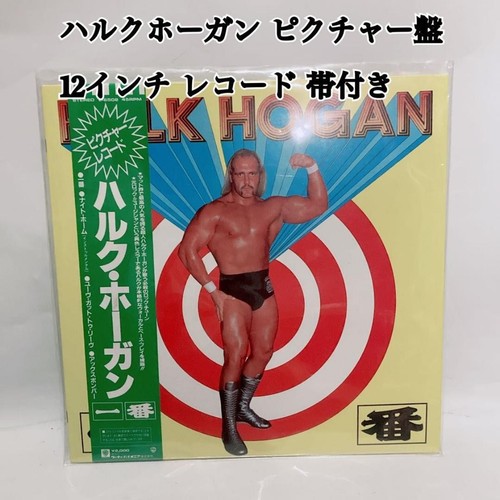 Hulk hogan picture record - picture,