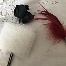 1m,90voilette  plumetis