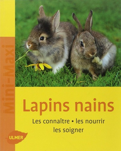 Lapins nains les connaître - les,
