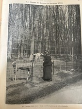 1901 RAMBOUILLET - DUCHESSE D’UZES - CHASSE - SAINT HUBERT