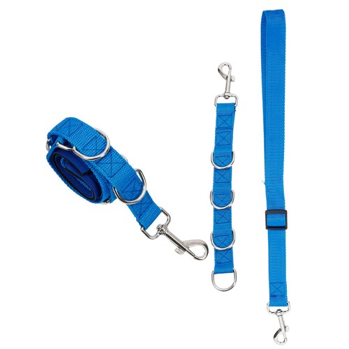 Pcs sangle toilettage - sangle,