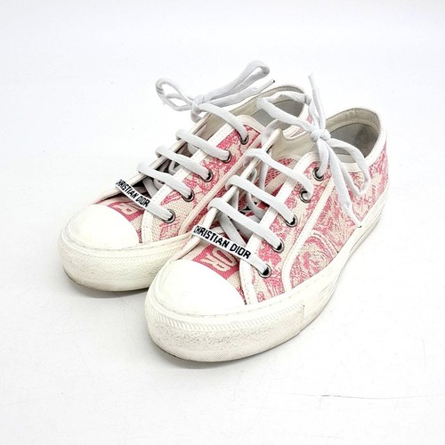 Christian dior oblique work - christian,