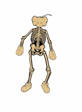 KAWS "Skeleton Board Cut out