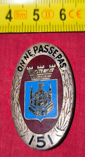 Insigne 151 regiment - du,