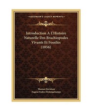 Introduction A L'Histoire