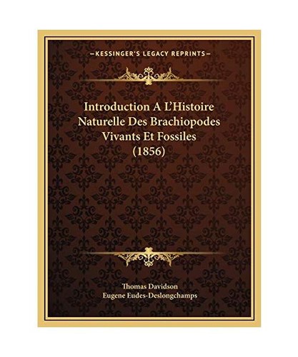 Introduction histoire - a, l'histoire