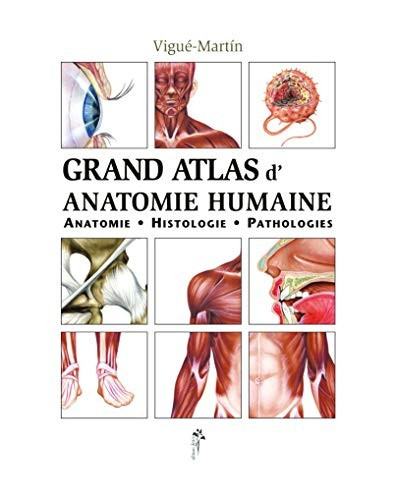 Grand atlas anatomie humaine - grand,