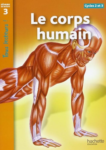 Corps humain niveau - le,