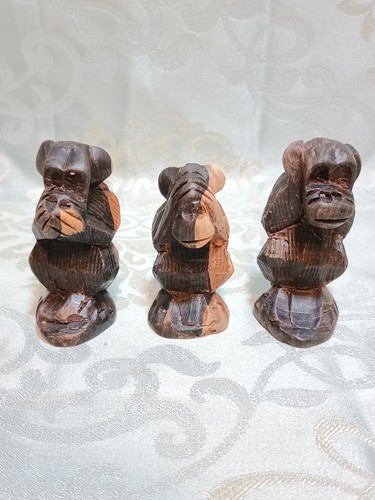 Les singes sagesse - sagesse,, en