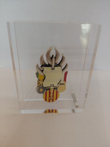 Insigne 319e promotion - 319e,