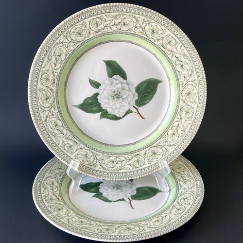 Grandes assiettes camélia - grandes,