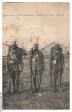 CAR-ADQP4-0272-33 - LE