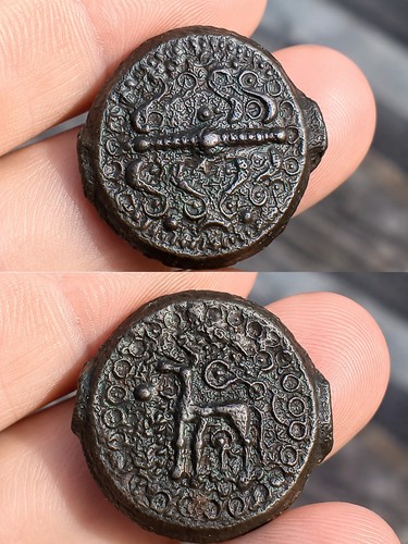 Potin nervien aux rameaux - aux,