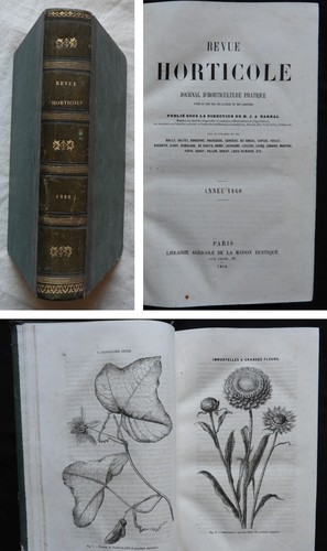 Revue horticole année 1860 - année,