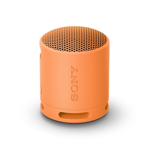 Sony srs xb100 draadloze - -,