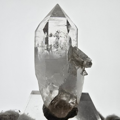 Sceptre poche - sceptre,