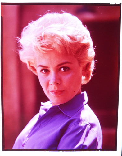 Sandra dee tammy tell true - sandra,