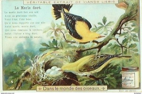 Chromo liebig sang 651 - liebig, au