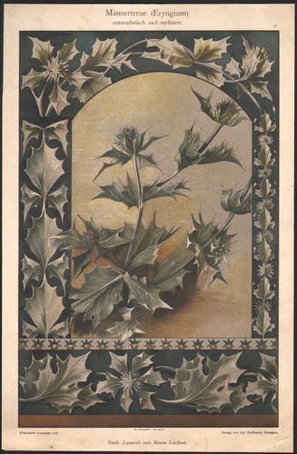 1910 lithographie chardon - 1910,