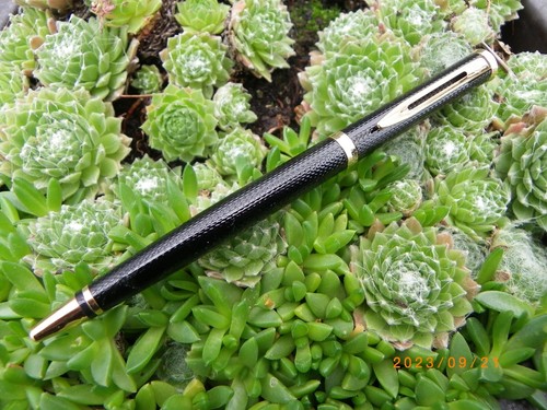 Superbe stylo bille waterman - -,