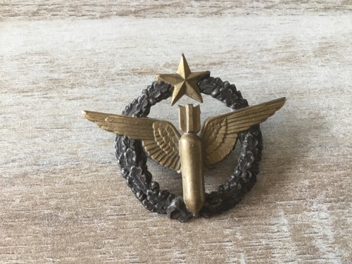 Insigne brevet pilote - insigne,