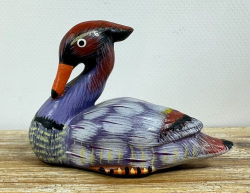 Très joli canard - canard, en