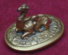 magnifique ancien dromadaire