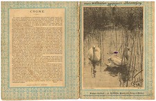 ANCIEN PROTEGE CAHIER CYGNE 