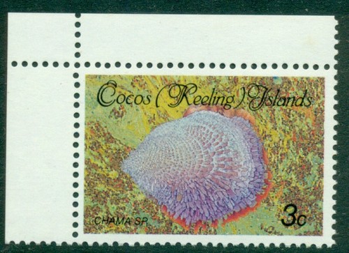 Cocos islands 1985 - cocos, shell