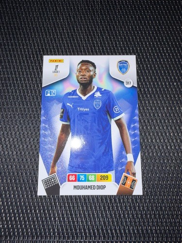Panini ligue 2026 27 - 1, 2026/27