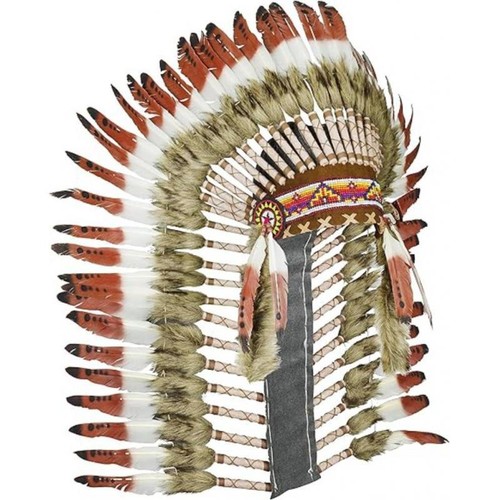 Coiffe plumes indiennes - de,