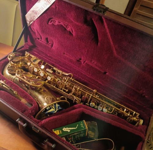 Alto saxophone julius - saxophone,