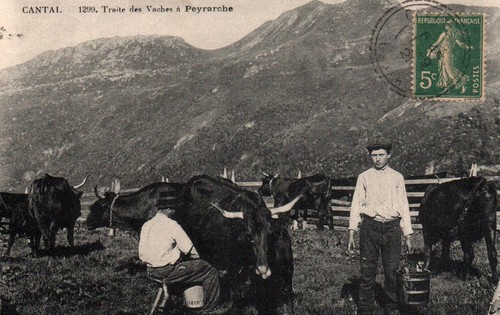 Carte postale peyrarche - -,