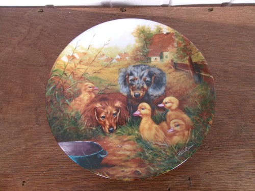 Assiette porcelaine bradex - porcelaine,