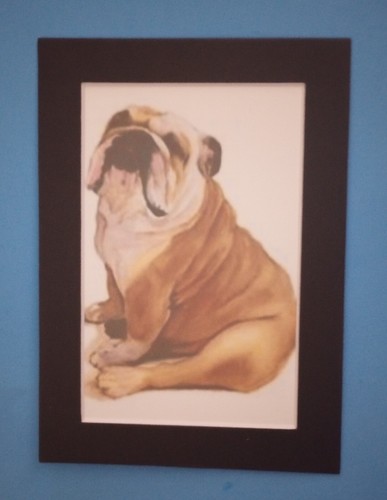 Matted x 6 - 5",
