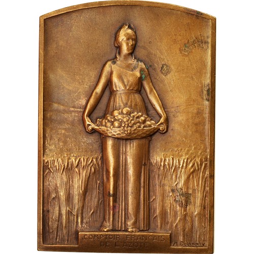 France médaille - france,,