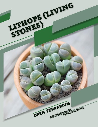 Tetiana sabanen lithops - sabanen,