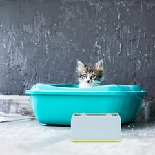  Accessoires Pour Chat Caisse