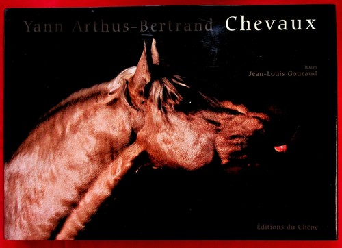 Chevaux equitation - equitation,