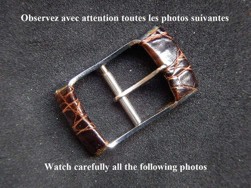 Double boucle ardillon - 14,