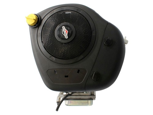 Briggs stratton - ps,