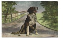 ILLUSTRATION  - CHIEN ASSIS AU MILIEU DE LA ROUTE