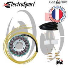 Stator Allumage pour KAWASAKI